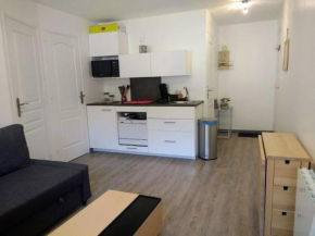 Appart 4-6 pers au pied des pistes - Val Louron
